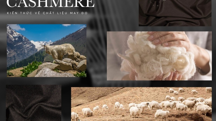 [Material Guide] Cashmere – Chất Liệu Xa Xỉ Trong May Đo Thủ Công